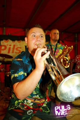 Fêtes de la Musique au Parc ! - Gallerie photo #39